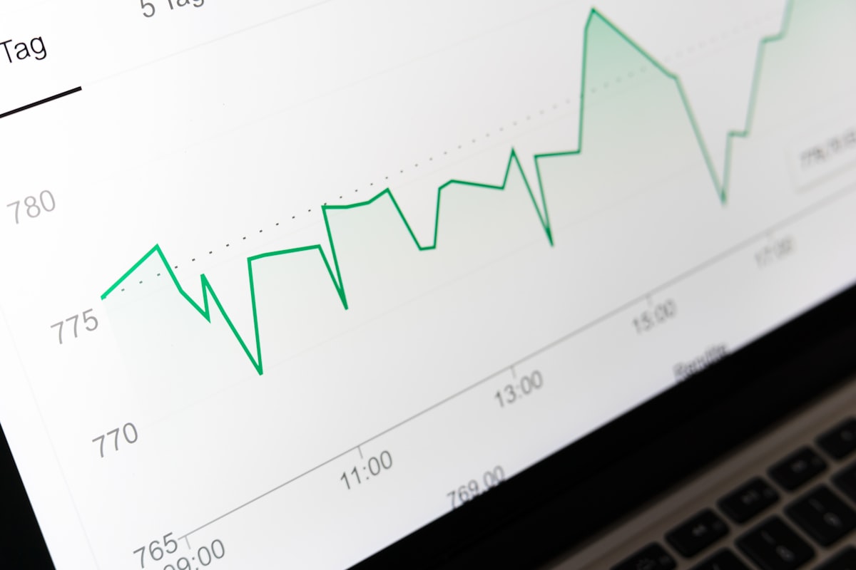 Valuation Methods for Small and Medium Enterprises